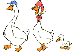 Dieren Eenden Dieren plaatjes 