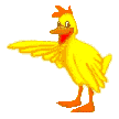 Dieren Eenden Dieren plaatjes 