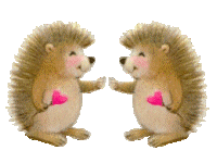 Dieren Egels Dieren plaatjes 