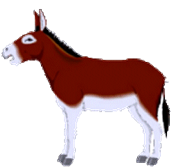Dieren Ezel Dieren plaatjes 