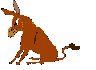 Dieren Ezel Dieren plaatjes 