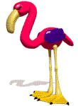 Dieren Flamingo Dieren plaatjes 