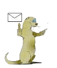 Dieren Fretten Dieren plaatjes 