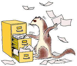 Dieren Fretten Dieren plaatjes 
