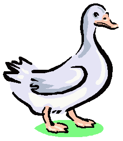 Dieren Ganzen Dieren plaatjes 