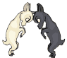 Dieren Geiten Dieren plaatjes 