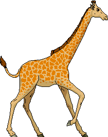 Dieren Giraffe Dieren plaatjes 