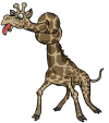 Dieren Giraffe Dieren plaatjes 