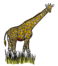 Dieren Giraffe Dieren plaatjes 