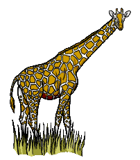 Dieren Giraffe Dieren plaatjes 