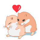 Dieren Hamsters Dieren plaatjes 