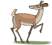 Dieren Herten Dieren plaatjes 
