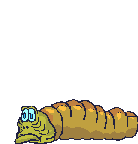 Dieren Insecten Dieren plaatjes 