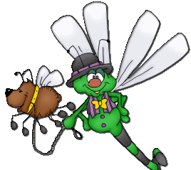 Dieren Insecten Dieren plaatjes 