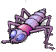 Dieren Insecten Dieren plaatjes 