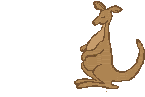 Dieren Kangoeroe Dieren plaatjes 