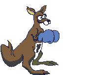 Dieren Kangoeroe Dieren plaatjes 