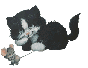 Dieren Katten Dieren plaatjes 