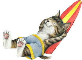 Dieren Katten Dieren plaatjes 