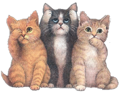 Dieren Katten Dieren plaatjes Drie Katjes Horen Zien En Zwijgen