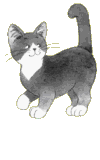 Dieren Katten Dieren plaatjes 