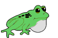 Dieren Kikkers Dieren plaatjes 