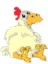 Dieren Kippen Dieren plaatjes 