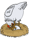 Dieren Kippen Dieren plaatjes 