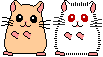Dieren Dieren plaatjes Knaagdieren 