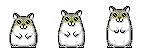 Dieren Dieren plaatjes Knaagdieren 