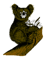 Dieren Dieren plaatjes Koala beer 