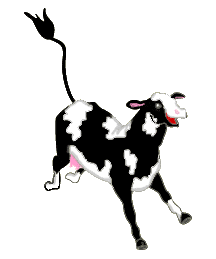 Dieren Koeien Dieren plaatjes 