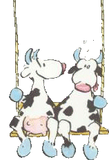 Dieren Koeien Dieren plaatjes 