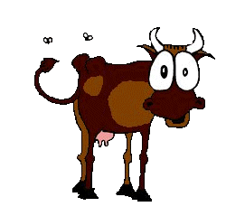 Dieren Koeien Dieren plaatjes 