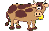 Dieren Koeien Dieren plaatjes 