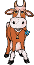 Dieren Koeien Dieren plaatjes 
