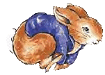 Dieren Konijnen Dieren plaatjes 