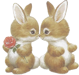 Dieren Konijnen Dieren plaatjes 