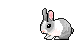 Dieren Konijnen Dieren plaatjes 