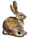 Dieren Konijnen Dieren plaatjes 