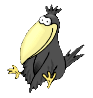 Dieren Kraaien Dieren plaatjes 
