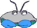 Dieren Krabben Dieren plaatjes 