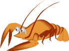 Dieren Krabben Dieren plaatjes 