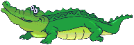 Dieren Krokodil Dieren plaatjes 