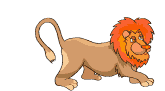 Dieren Leeuwen Dieren plaatjes 