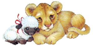 Dieren Leeuwen Dieren plaatjes 