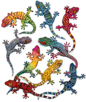 Dieren Leguaan Dieren plaatjes 