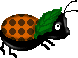 Dieren Lieveheersbeestje Dieren plaatjes 