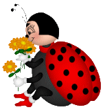 Dieren Lieveheersbeestje Dieren plaatjes 