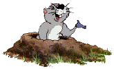 Dieren Mollen Dieren plaatjes 